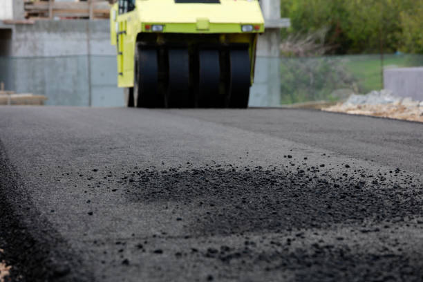 Reasons to Select Us for Your Driveway Paving Requirements in Detroit Beach, MI