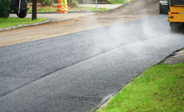 Best Driveway Repair Near Me  in Detroit Beach, MI